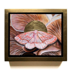 barred red moth oyster mushroom painting in gold float frame