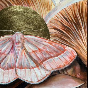 barred red moth oyster mushroom painting gold leaf halo detail