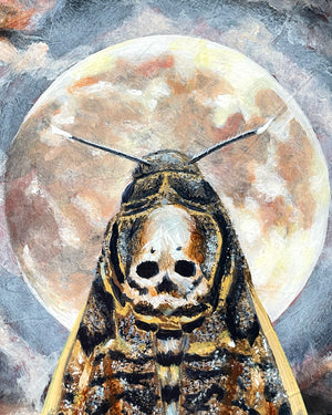 death's head moth full moon painting detail by Aimee Schreiber