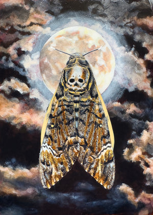 death's head moth full moon painting by Aimee Schreiber
