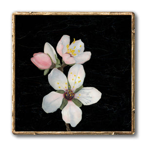 white blossom art print