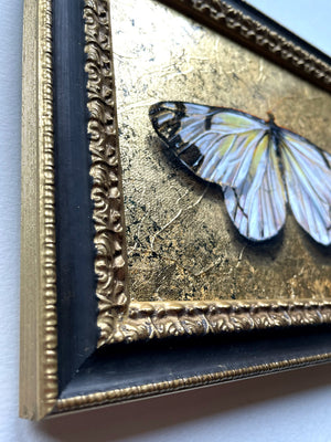 white butterfly painting gold frame detail