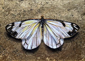 white butterfly painting gold leaf detail