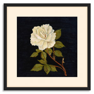 white rose art print in frame