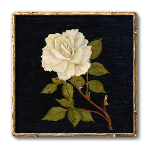 white rose art print traditional artwork