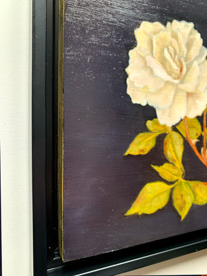 white rose oil painting black float frame detail