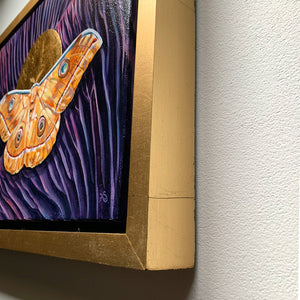 Japanese oak silkmoth purple mushroom painting in gold float frame detail