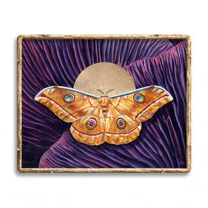 'Wholeness' japanese oak sillkmoth yellow moth and purple mushroom art print