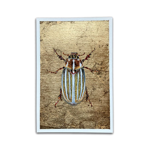 10-lined June beetle wood element painting