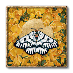 hera buckmoth yellow flower wall art gold frame
