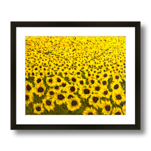 art with sunflowers print framed 14x11