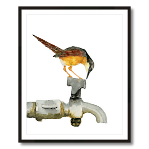 ashy prinia bird on faucet art print framed 24x30