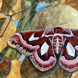 atlas moth leaf painting texture detail by Aimee Schreiber