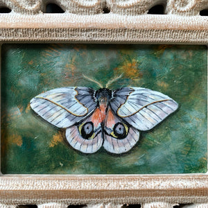 automeris frankae moth painting detail