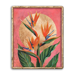 bird of paradise flower art print strelitzia framed