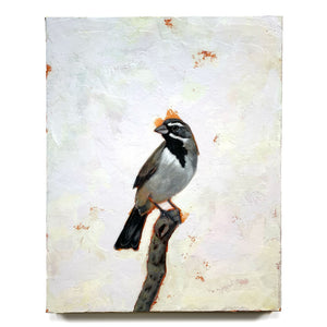 black-throated sparrow acrylic bird painting