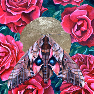 blinded sphinx moth and red roses painting gold leaf detail