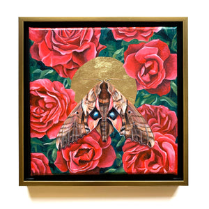 blinded sphinx moth and red roses painting