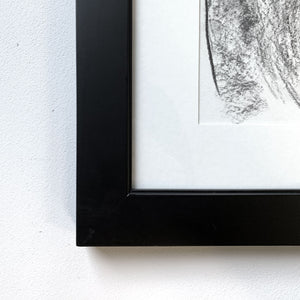 charcoal drawing cougar mountain lion  black frame detail