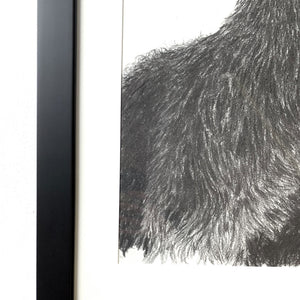 original charcoal drawing goat black frame detail