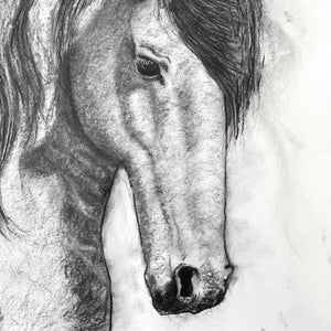 charcoal drawing horse original face detail