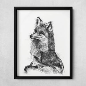 charcoal drawing fox fine art print in black frame
