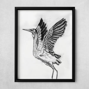 charcoal heron bird fine art print in black frame