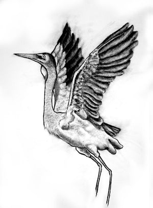 charcoal heron bird fine art print
