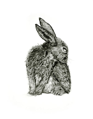 charcoal drawing rabbit bunny fine art print
