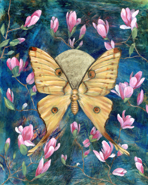 comet moth magnolia art print