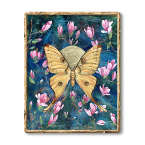 comet moth magnolia art print