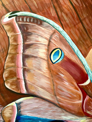 "Love (is not blind)" Polyphemus Moth Painting 48x48