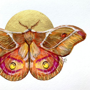 gold moth embellished art print