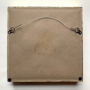 ethereal moth painting luna moth art frame back Aimee Schreiber