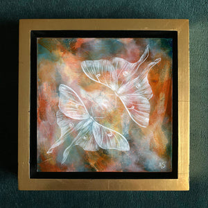 ethereal moth painting luna moth art Aimee Schreiber gold frame