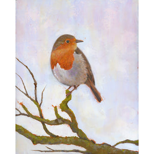 european robin bird art print by Danny Schreiber