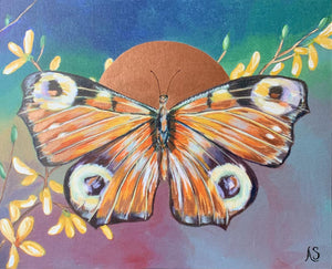 fine art embellished print peacock butterfly 16x20