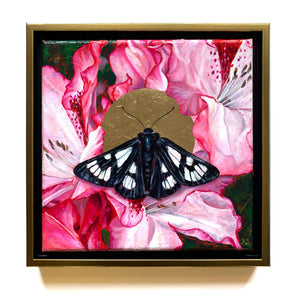 forester moth pink rhododendron painting