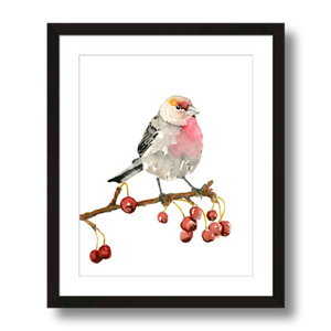house finch art print framed 11x14
