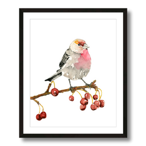 house finch art print framed