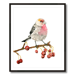 house finch art print framed 24x30