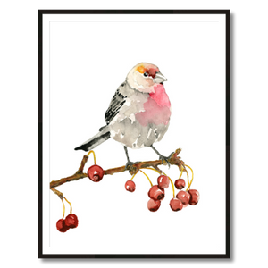 house finch art print framed 30x40