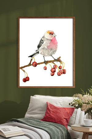 house finch bird art print framed