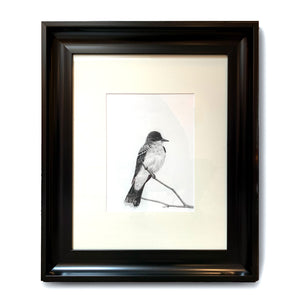 kingbird charcoal drawing in black frame
