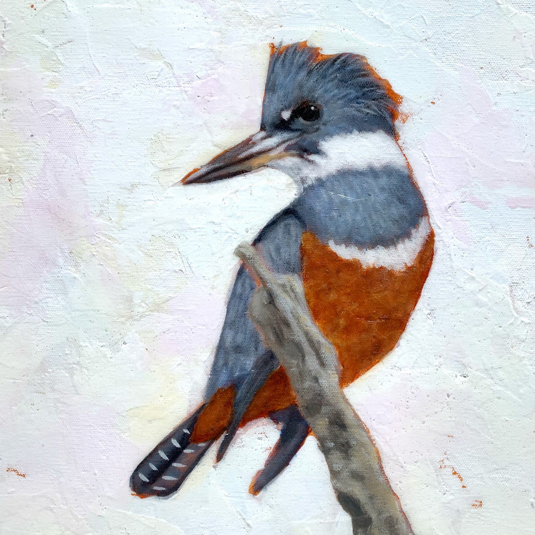 kingfisher beautiful bird painting detail