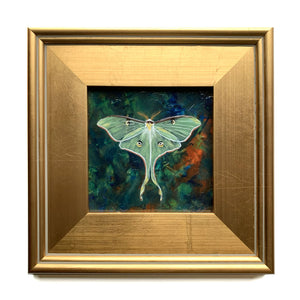 luna moth painting in gold leaf frame
