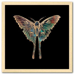 16 inch square gold Foil Galactic Luna Moth Art Print by Aimee Schreiber framed in natural maple wood
