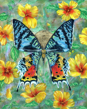 madagascan sunset moth hibiscus flowers art print