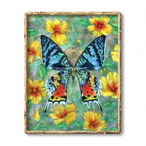 madagascan sunset moth hibiscus flowers art print