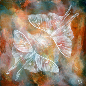 Mirror III Ethereal Luna Moth Fine Art Print by Aimee Schreiber